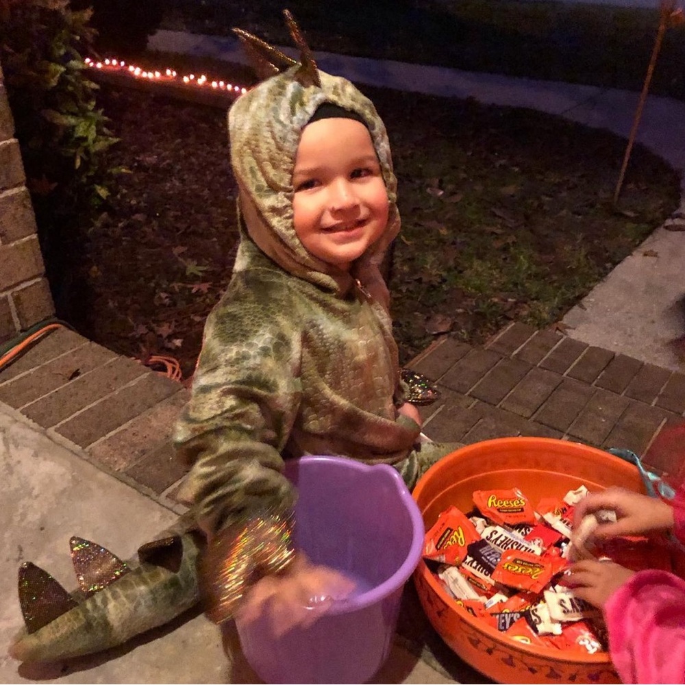 2T Dino costume. EUC.